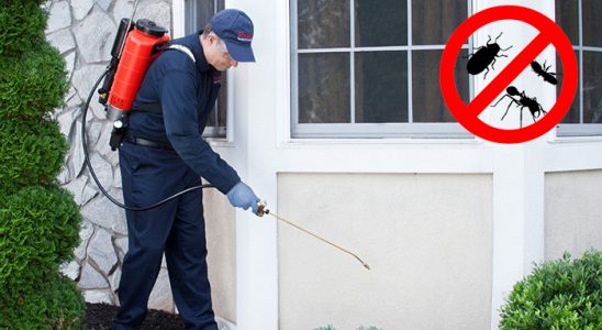 Eynesil Akrep İlaçlama böcek ilaçlama ve haşere kontrolü — ilaclama-tr.com